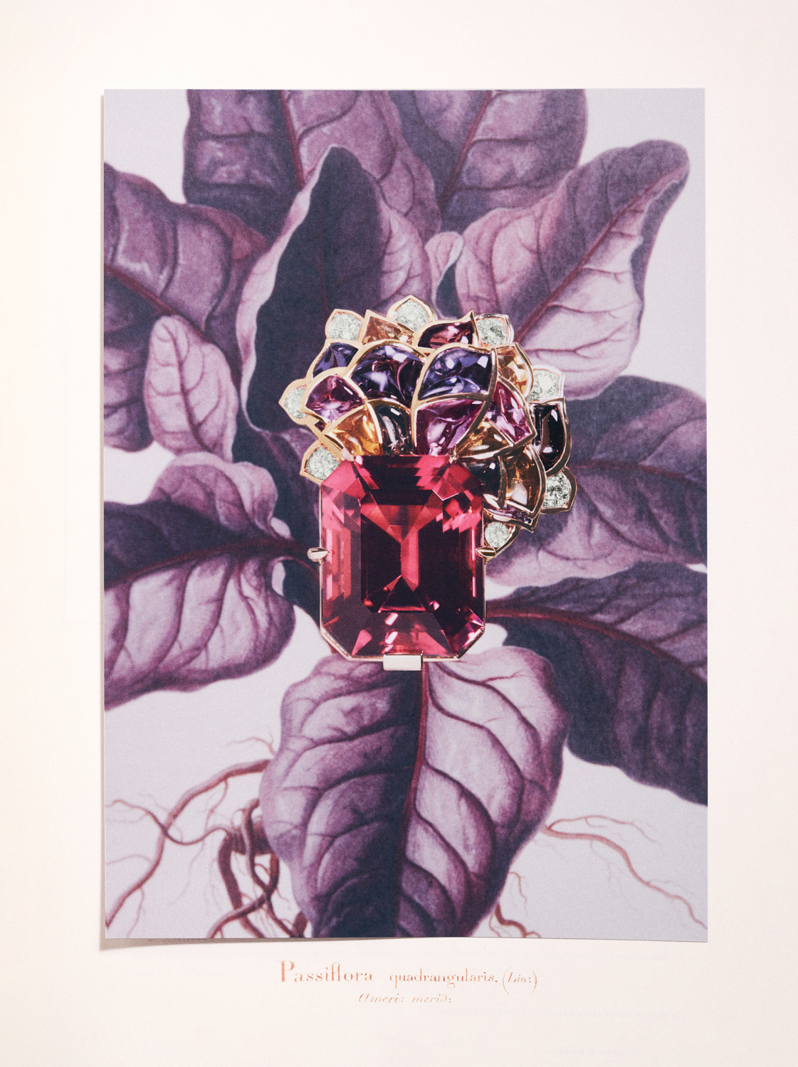 Talent and Partner, Nathan Robin: In Style China — Tiny Giants (Fig. 5)