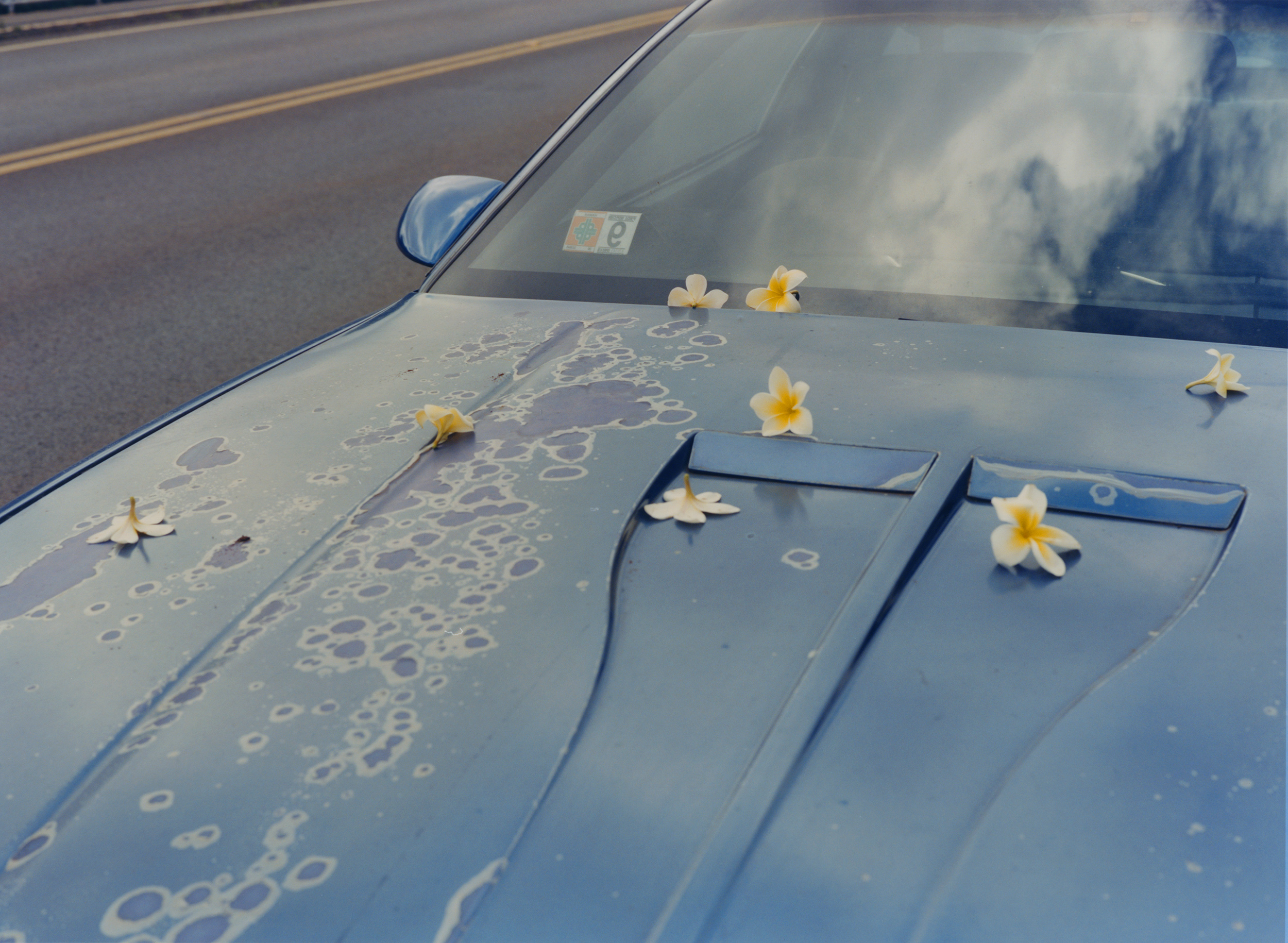 Talent and Partner, Vavá Ribeiro: Book — North Shore (Fig. 18)