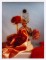 Talent and Partner, Leandro Farina: Narcisse Magazine (Thumbnail)