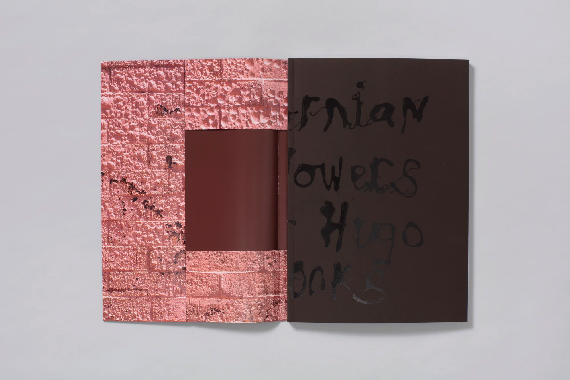 Talent and Partner, Pieter Hugo: Book — Californian Wildflowers (Fig. 2)