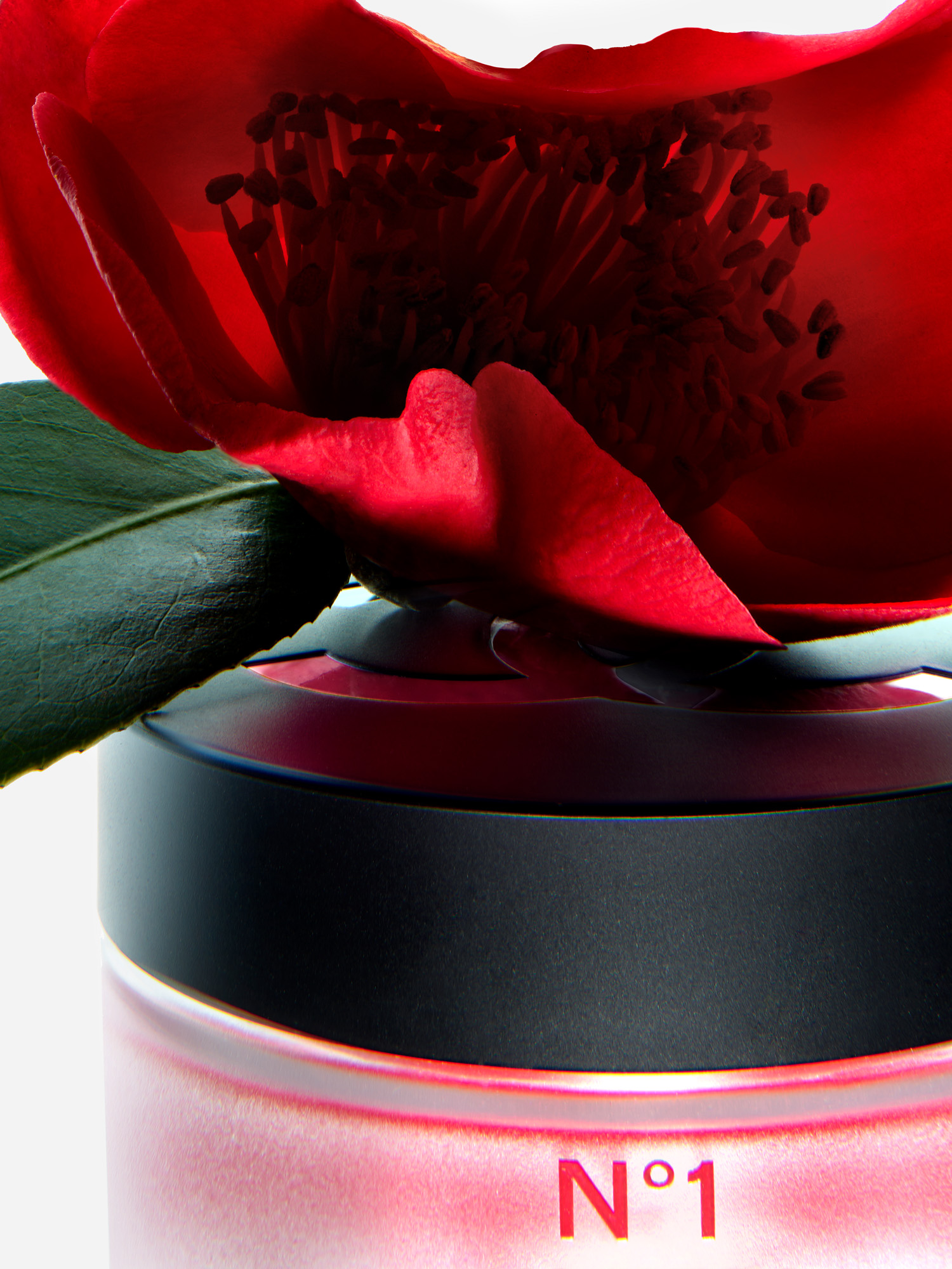 Talent and Partner, Simone Cavadini: CHANEL - Personal work (Fig. 8)