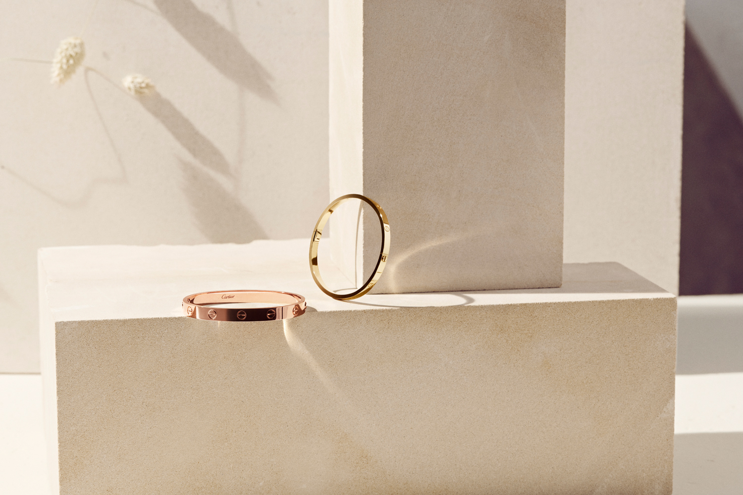 Talent and Partner, Sophie Glasser: Cartier (Fig. 3)