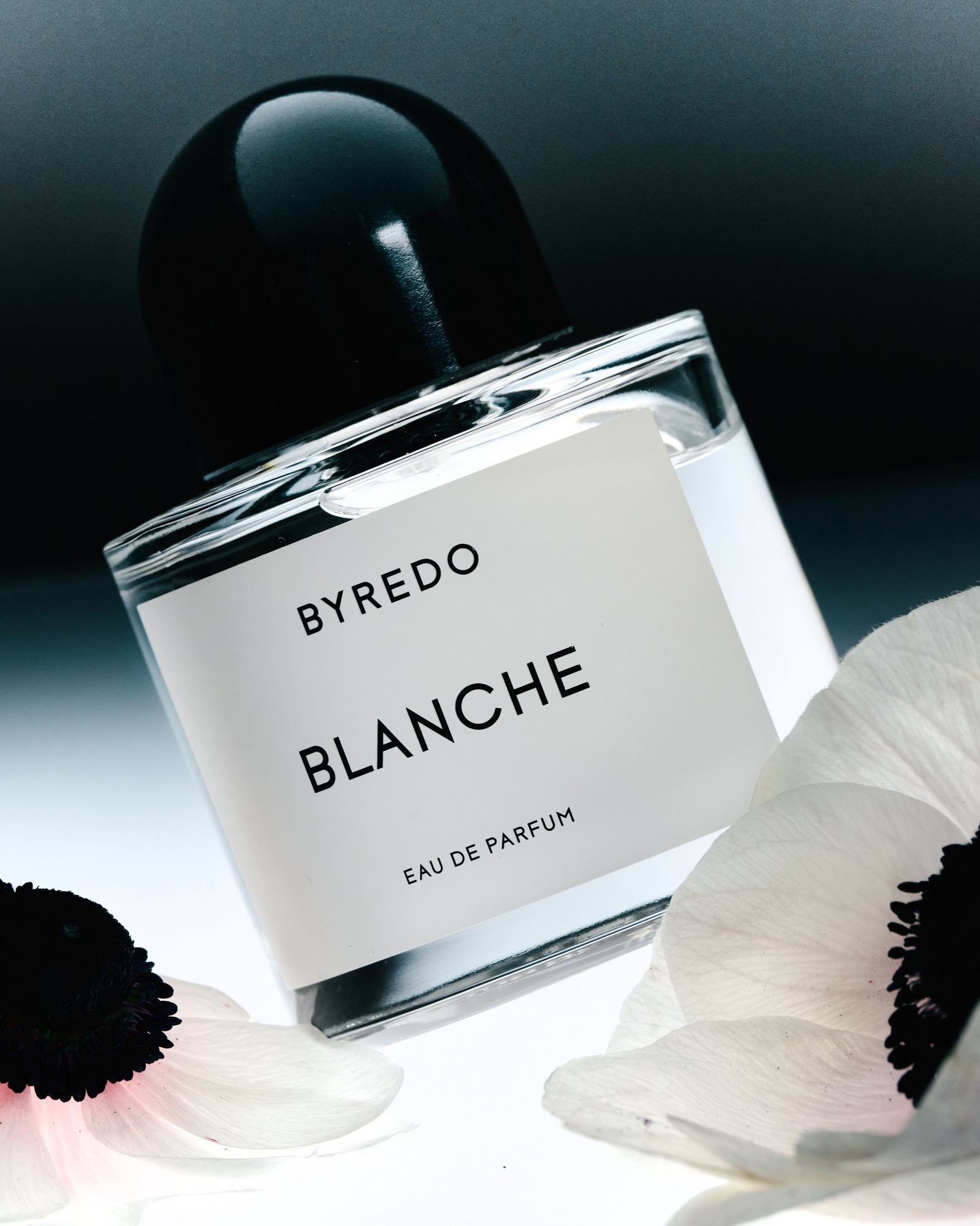 Talent and Partner, Aurore Piedigrossi: Portfolio (Fig. 74)