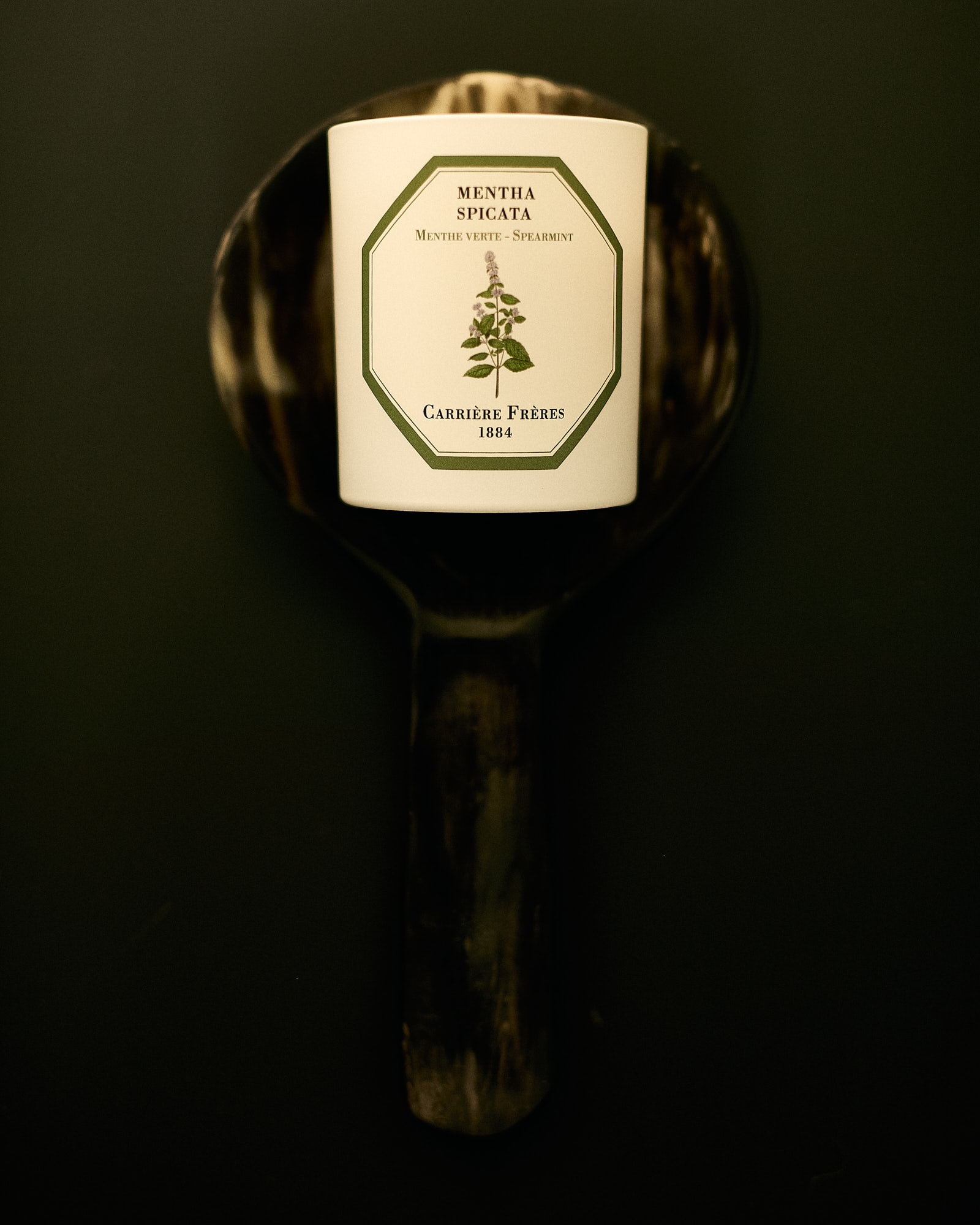 Talent and Partner, Nathan Robin: Carrière Frères (Fig. 8)