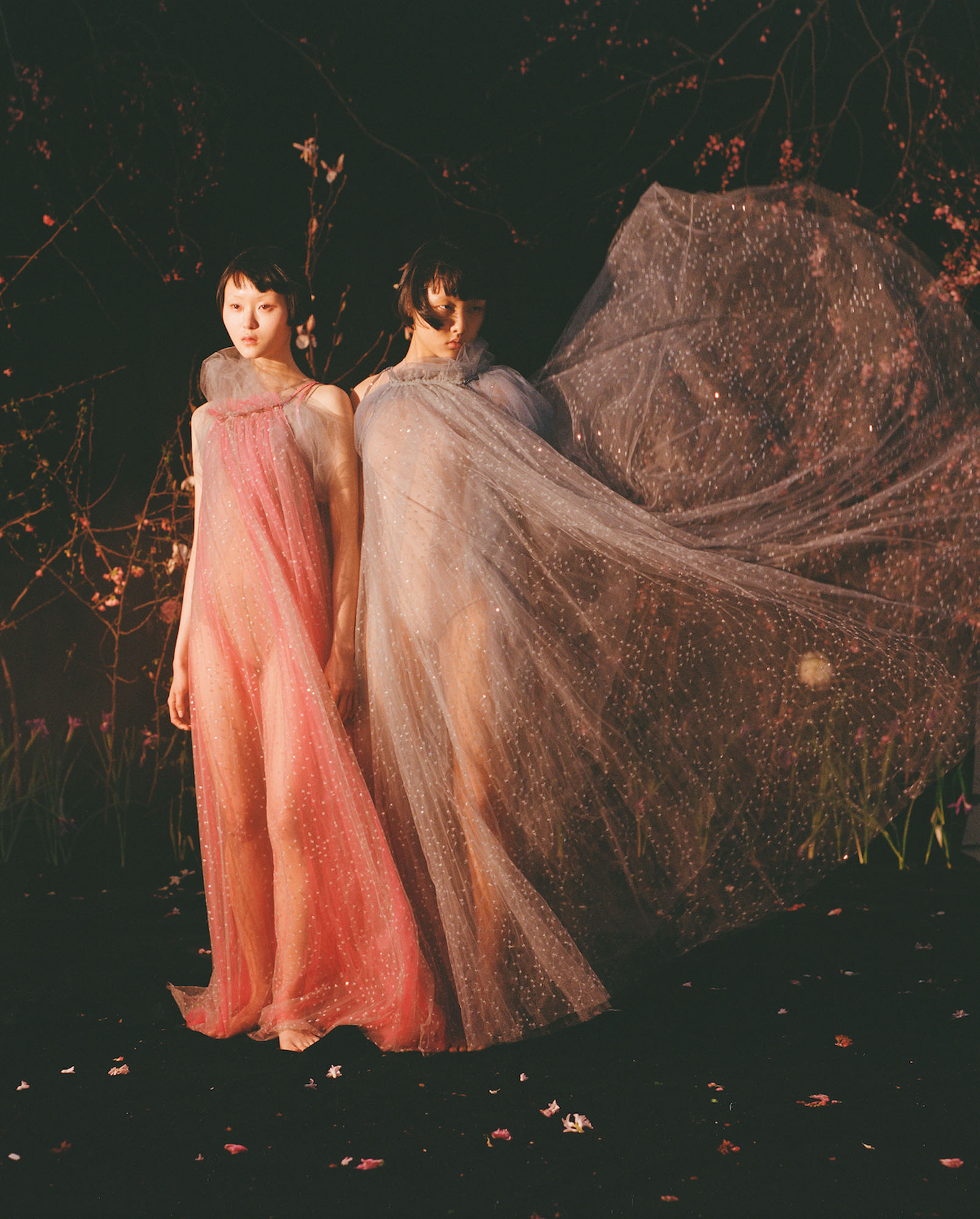 Talent and Partner, Samuel François: Numéro 230 (Fig. 1)