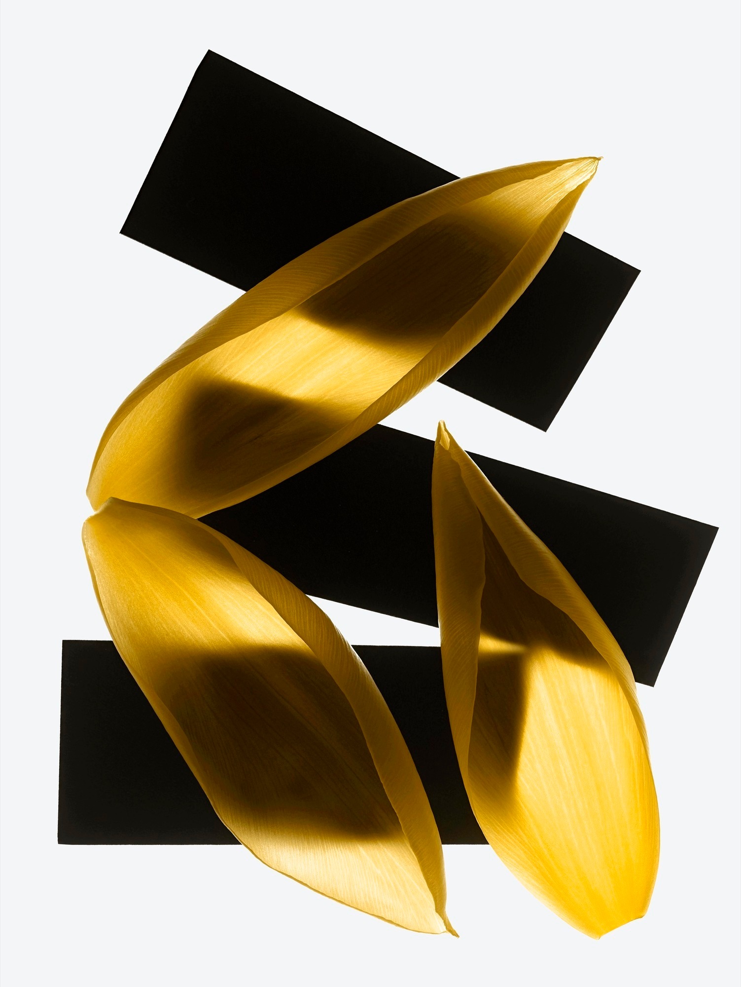 Talent and Partner, Simone Cavadini: Portfolio (Fig. 59)