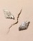 Talent and Partner, Aurore Piedigrossi: Portfolio (Fig. 86)