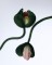 Talent and Partner, Aurore Piedigrossi: Byredo (Thumbnail)