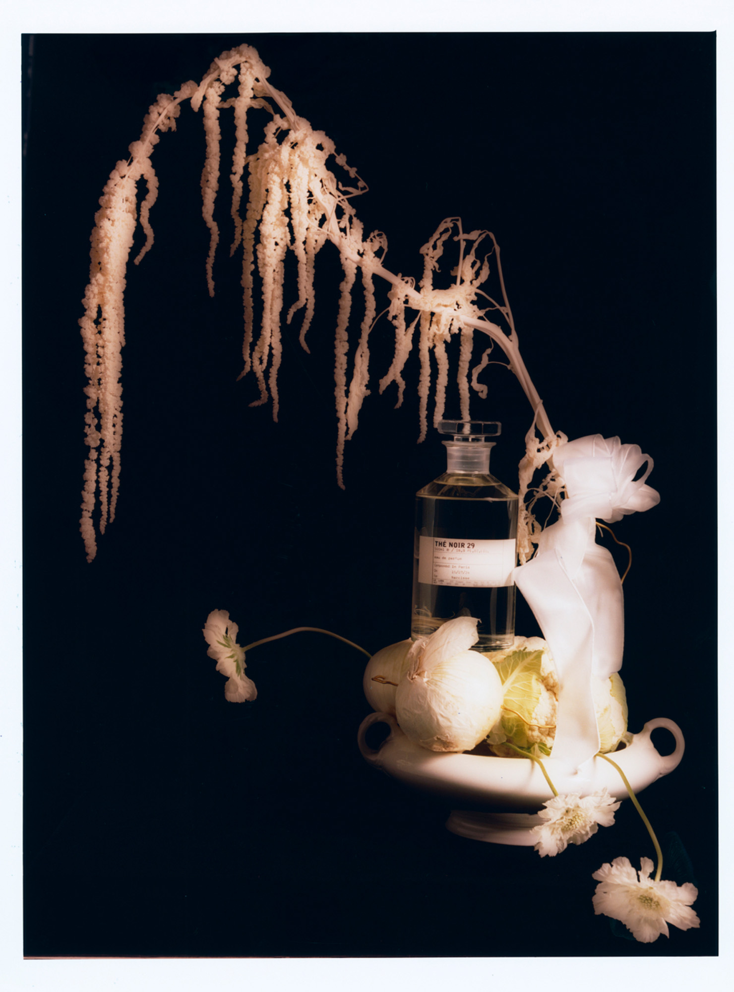 Talent and Partner, Leandro Farina: Portfolio (Fig. 30)