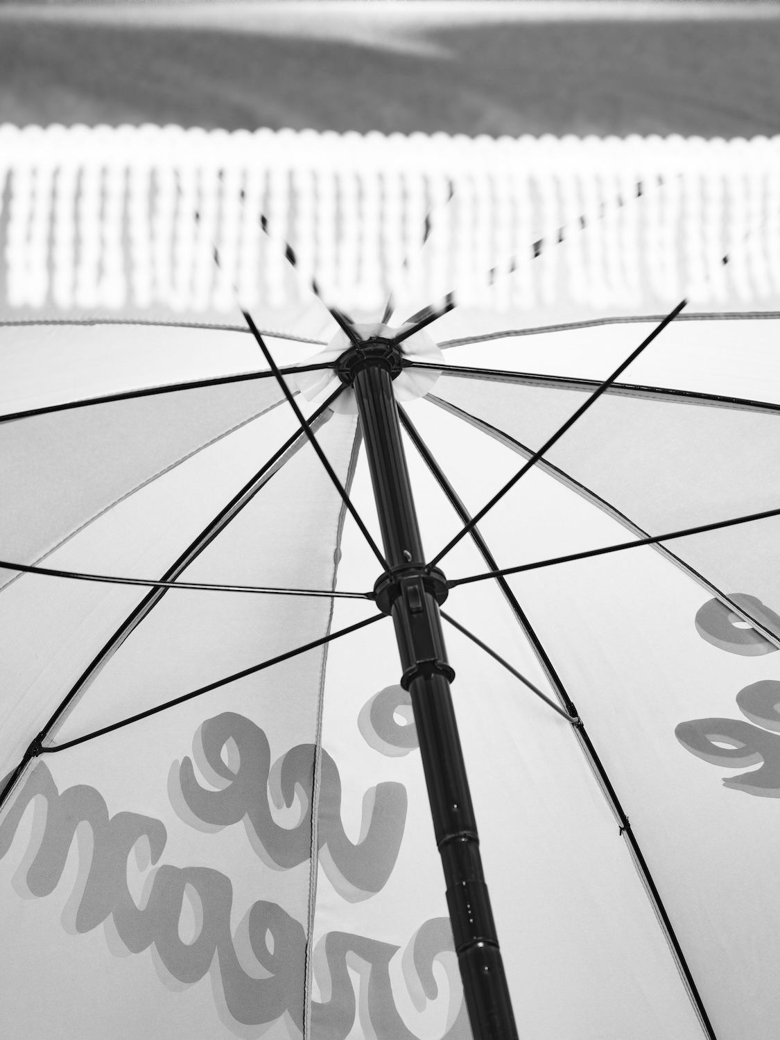 Talent and Partner, Scheltens & Abbenes: The Gentlewoman — Cold (Fig. 1)