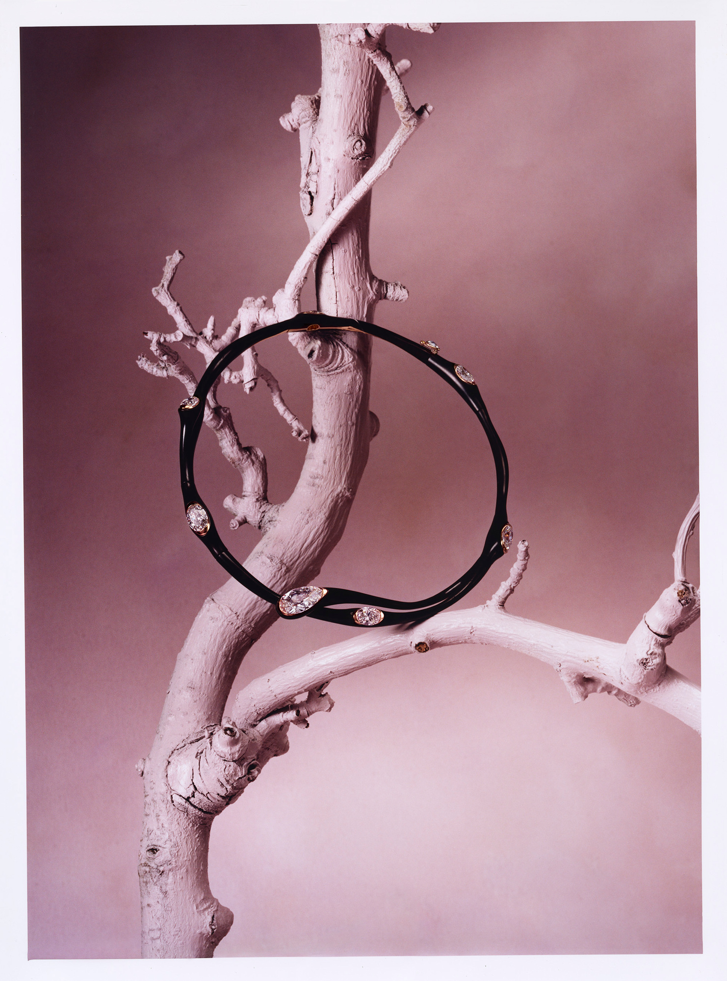 Talent and Partner, Leandro Farina: Portfolio (Fig. 51)