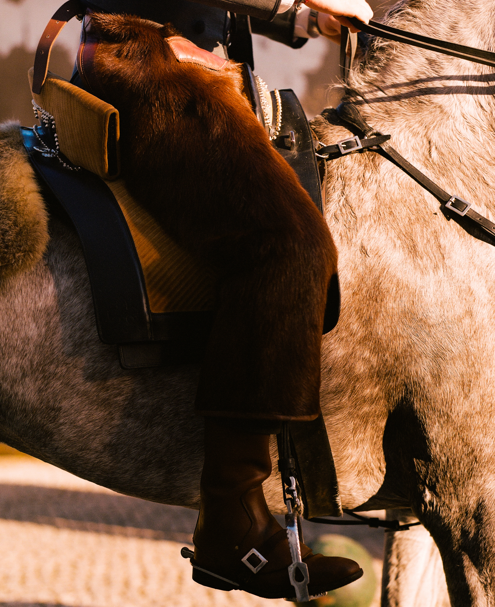 Talent and Partner, Julien Da Costa: Portfolio (Fig. 24)