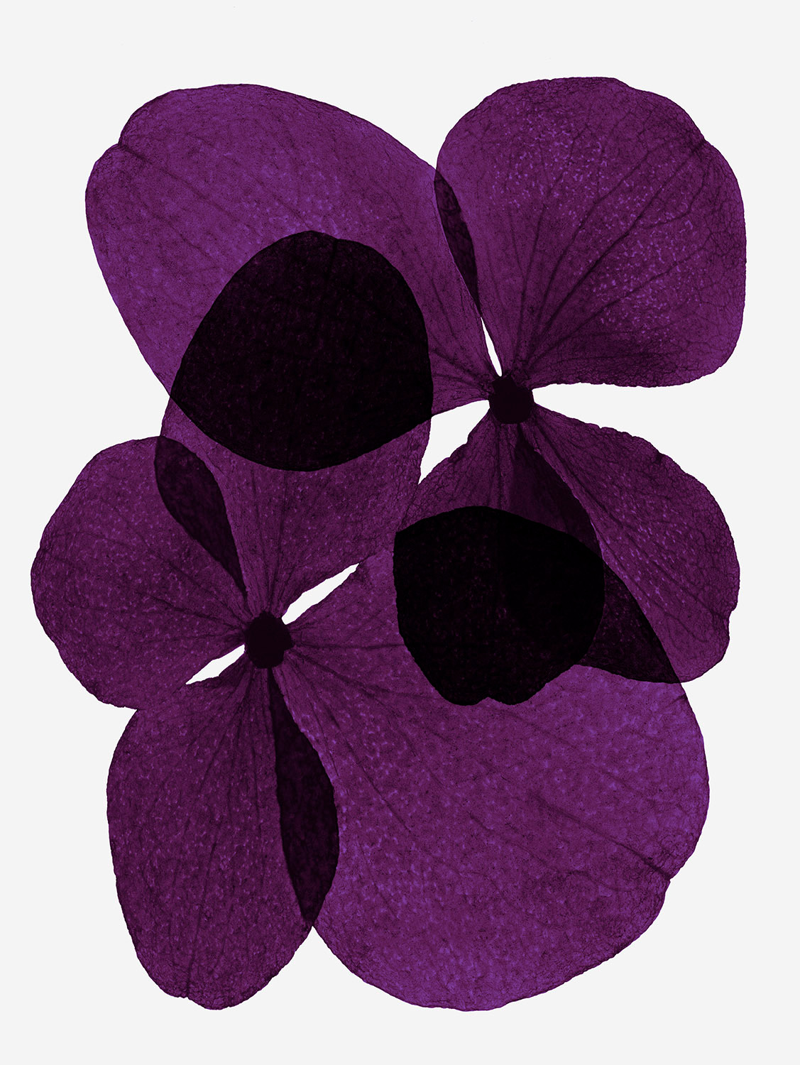 Talent and Partner, Simone Cavadini: Perfumes & Cosmetics (Fig. 59)