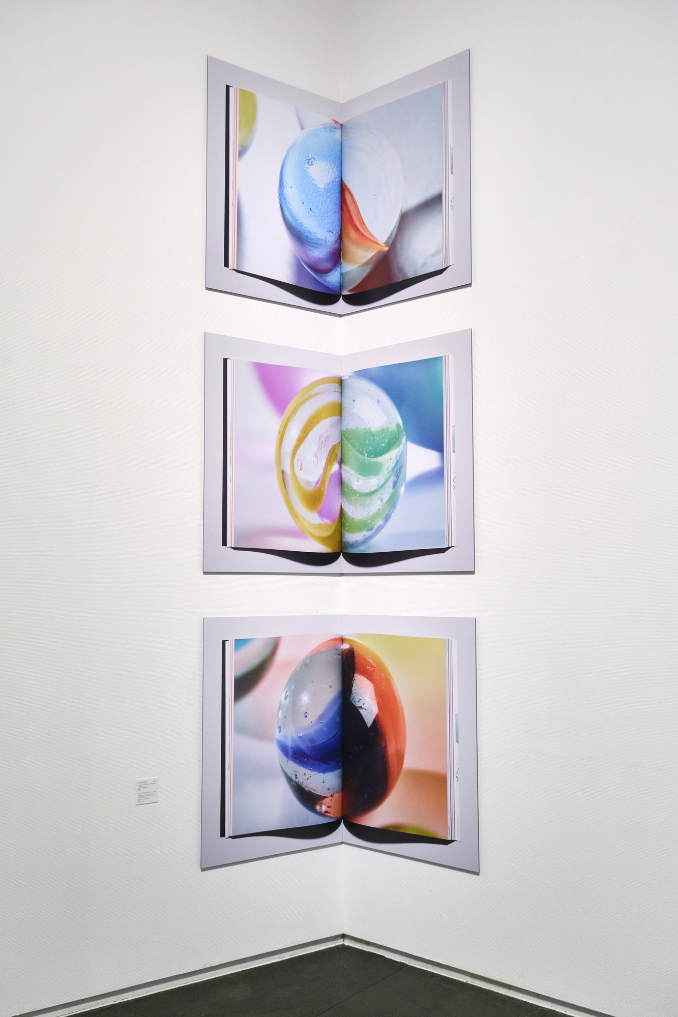 Talent and Partner, Scheltens & Abbenes: Projects — Solo Show — Shenzhen Art Museum (Fig. 11)