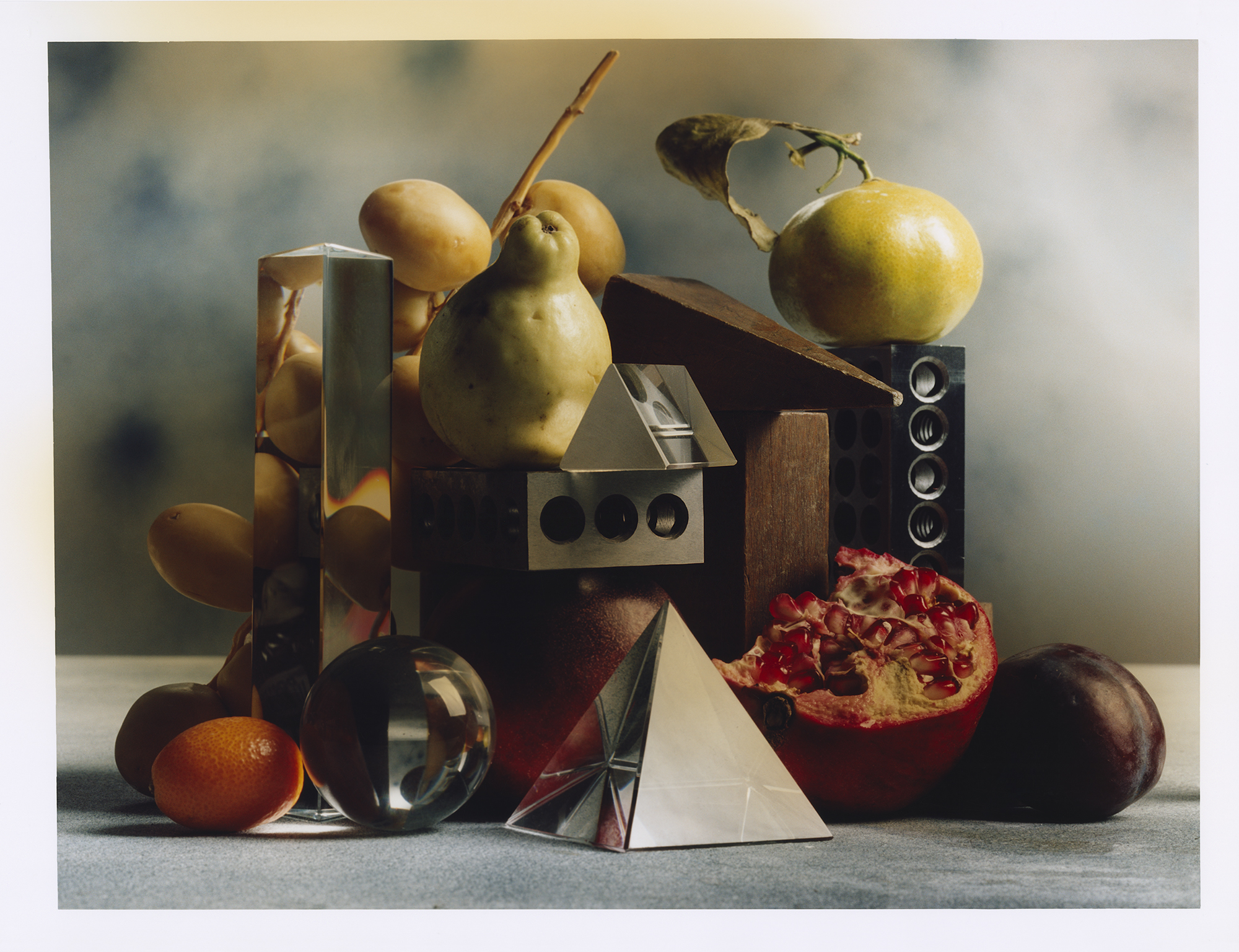 Talent and Partner, Leandro Farina: Loop Dining (Fig. 9)