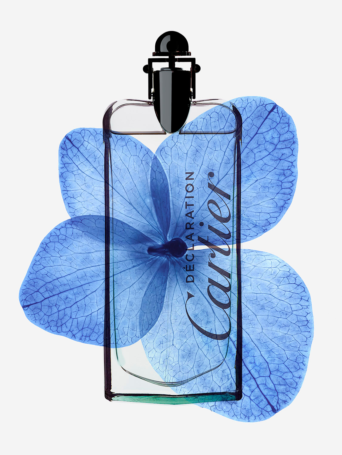 Talent and Partner, Simone Cavadini: Perfumes & Cosmetics (Fig. 36)